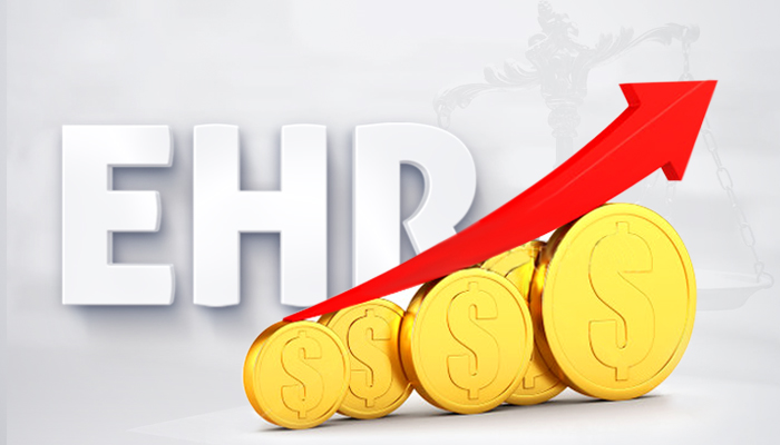 Why Does an EHR System Cost So Much?