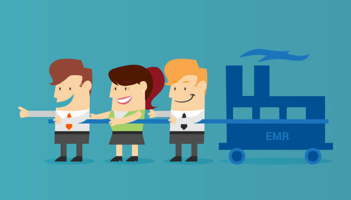 Critical Roles for EMR Training Success