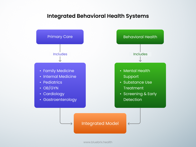 Integrated Behavioral Health Systems